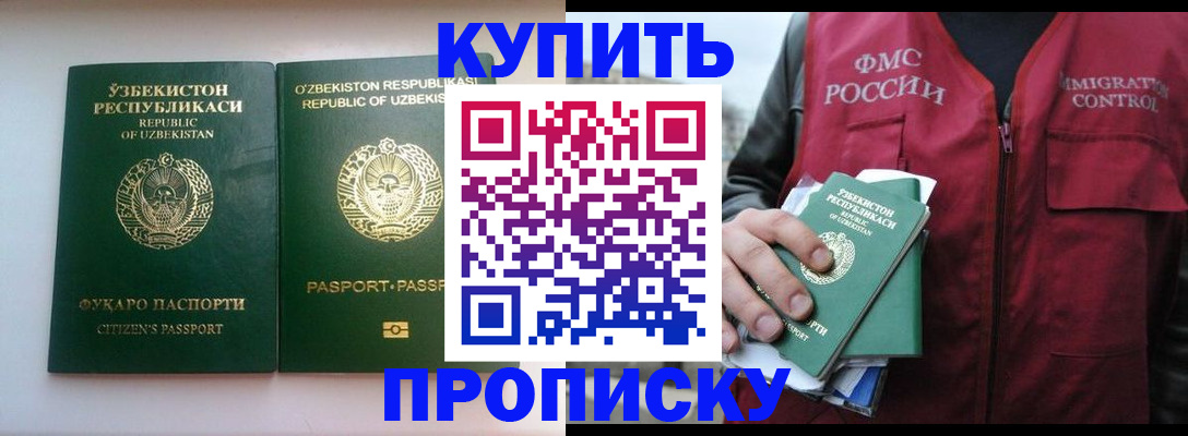 где прописаться в Камышине