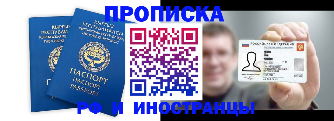 регистрация в Камышине